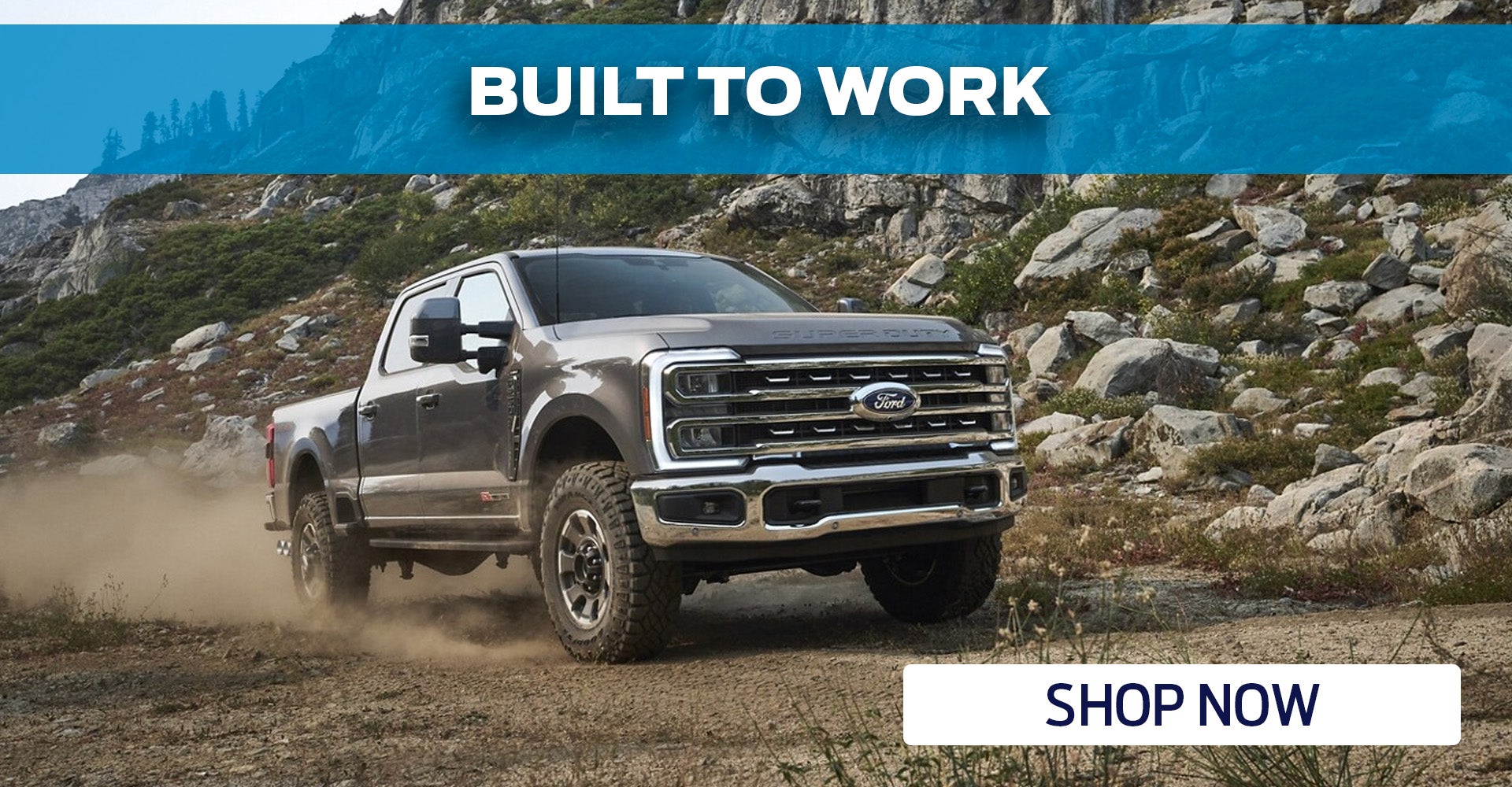 Ford Super Duty For Sale